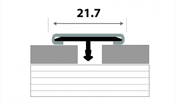 Профиль стыкоперекрывающий ЛС 10НСВ(304).2700.010 2,7 м Графит