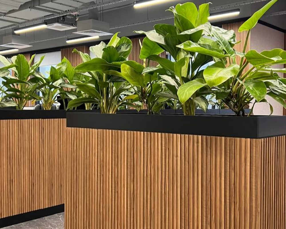 Панель МДФ ACUPAN 61.08.122501.94 трапеция 12х122х2760 мм Эльм коричневый