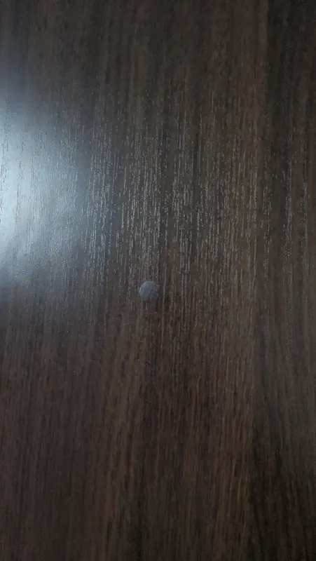 Заглушка для саморезов Клён медовый